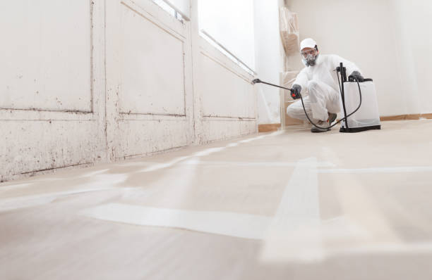24/7 Emergency Attic Mold Removal experts in Villanova, PA