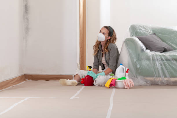 Reliable Attic Mold Removal contractor in Villanova, PA by WQB Mold Removal