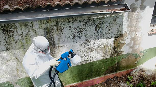 Top rated local Attic Mold Removal specialists in Villanova, PA